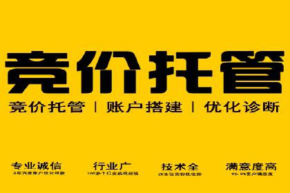 SEM专员如何提升广告投放ROI的技巧分享